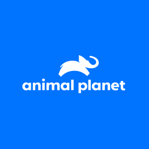 392-animal-planet.png